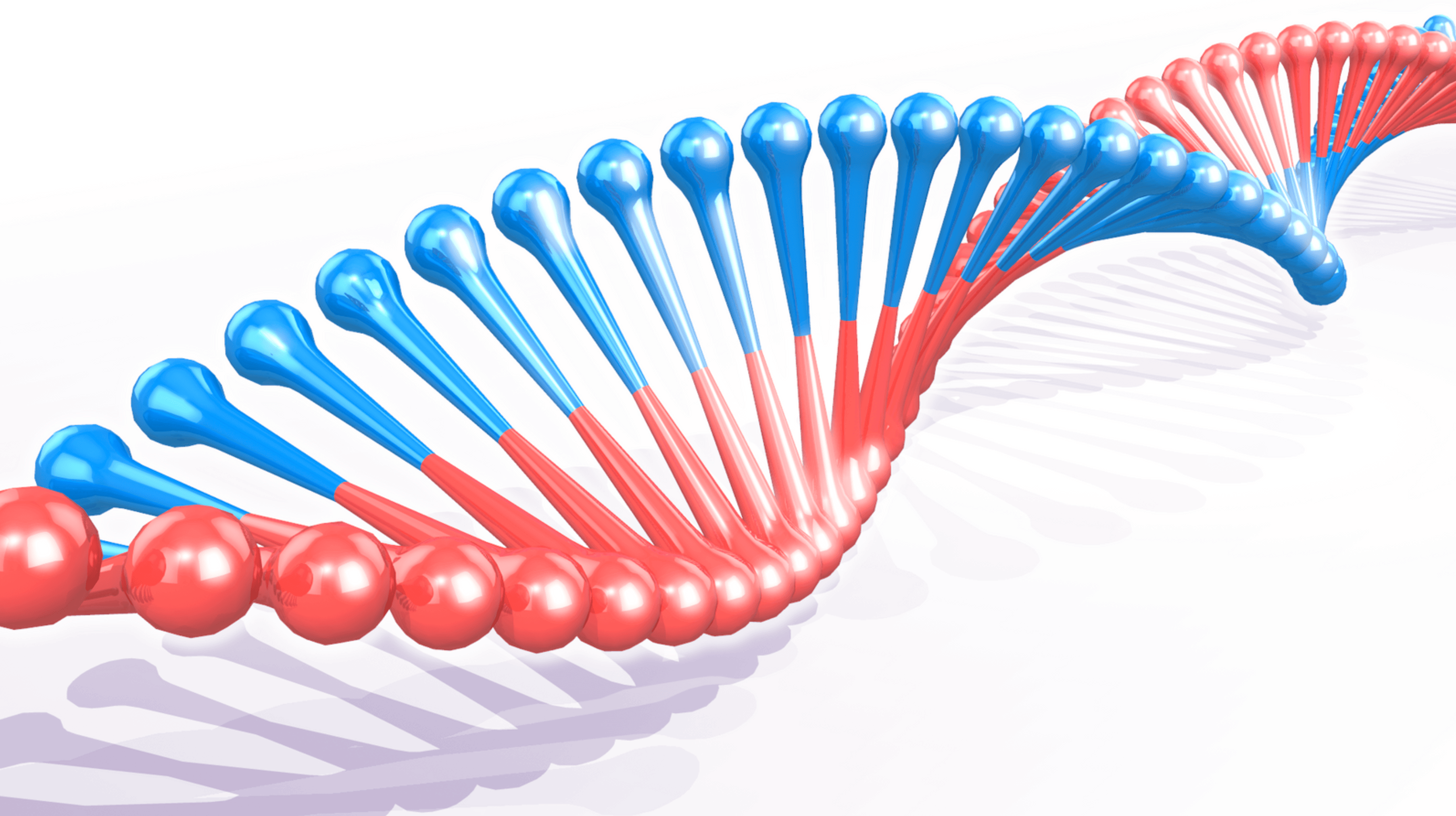 ‘Playing God’: D.I.Y Genetics