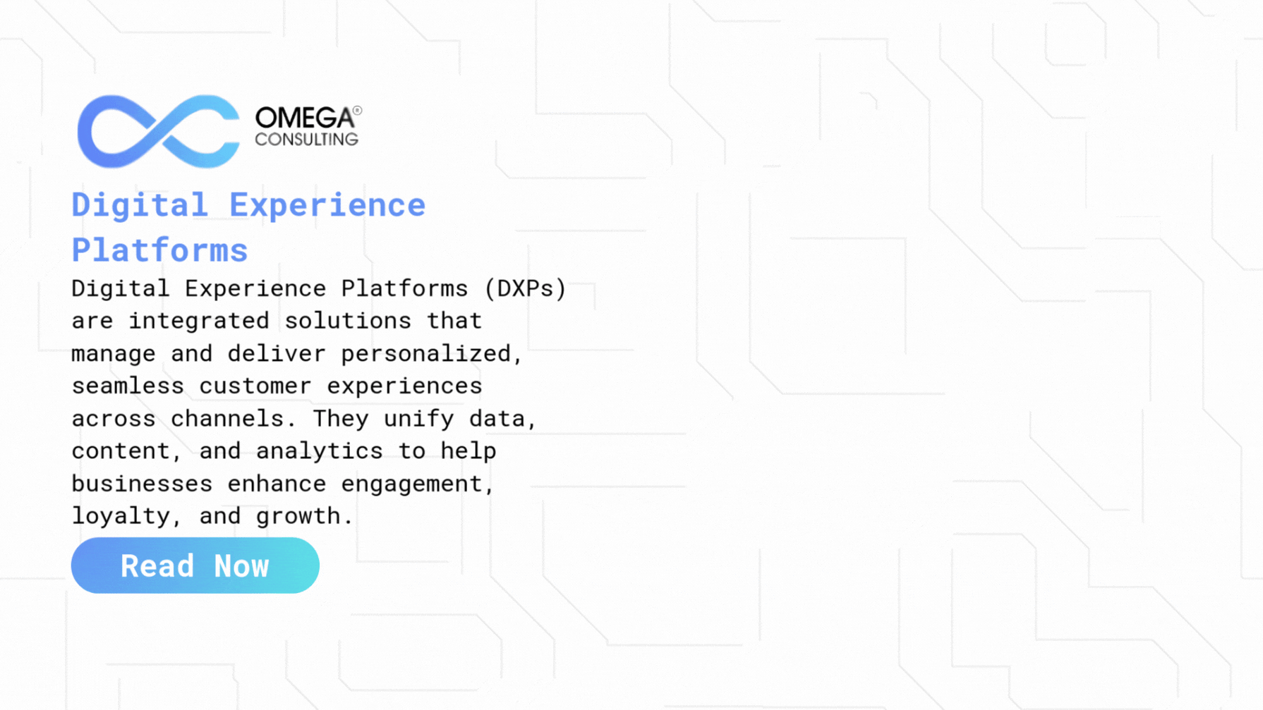 Digital Experience Platforms