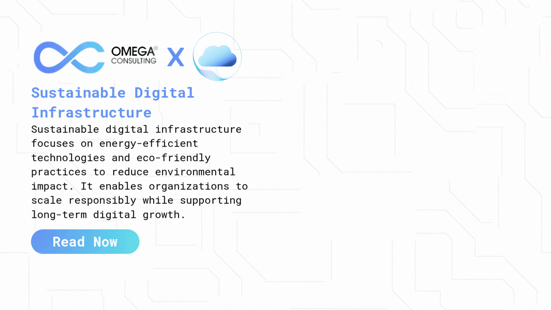 Sustainable Digital Infrastructure